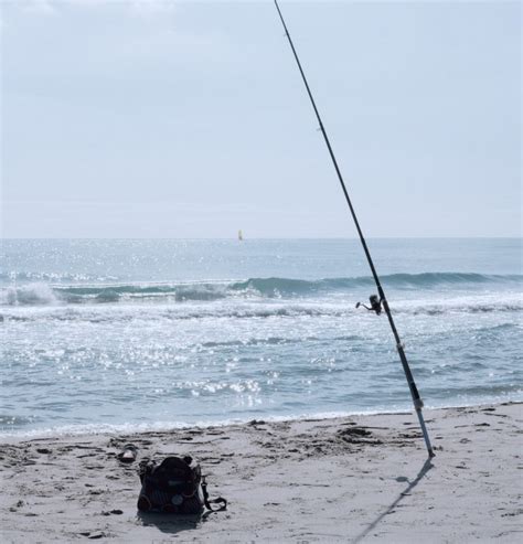 The Best Fishing Rods for Beginners: Top 8 Picks!