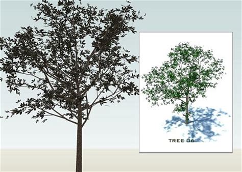 Free 3D Models - VEGETATION - SKETCHUP 3D TREES collection 1 - by ...