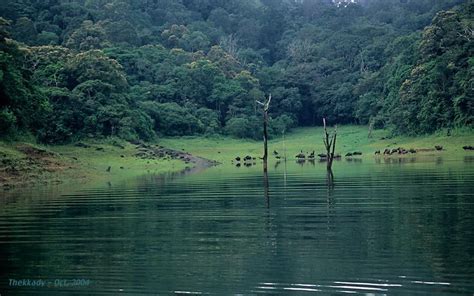 Thekkady - Kerala Image (20703919) - Fanpop