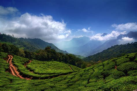 Munnar - Top Station by Photography By Sanish Suresh