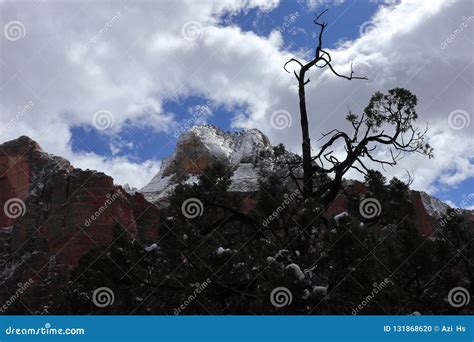 Snow in Zion National Park ! Utah Stock Photo - Image of desert ...