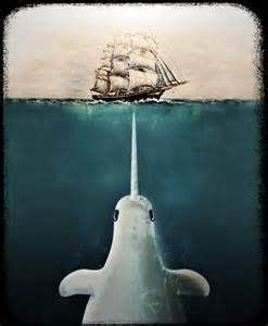 narwhal predators - Yahoo Image Search Results | Narwhal, Whale art ...