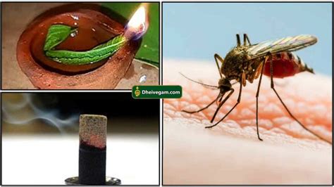 இயற்கை கொசு விரட்டி தயாரிப்பது எப்படி | Natural mosquito killer at home