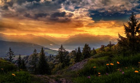 sunshine, Switzerland, Light, Flower, Valley, Glow, Countryside ...