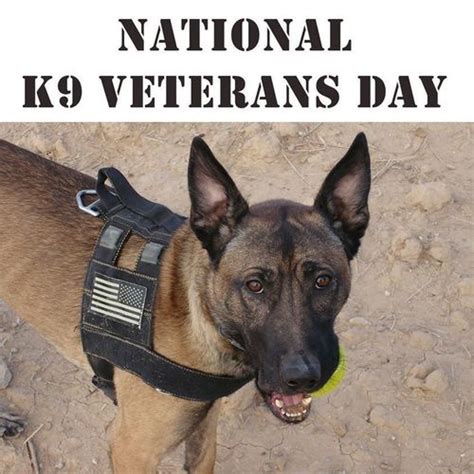 Ticket Me Sandhills | National K9 Veterans Day HERO WOD for ATOS