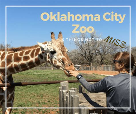 5 Things Not to Miss at the Oklahoma City Zoo