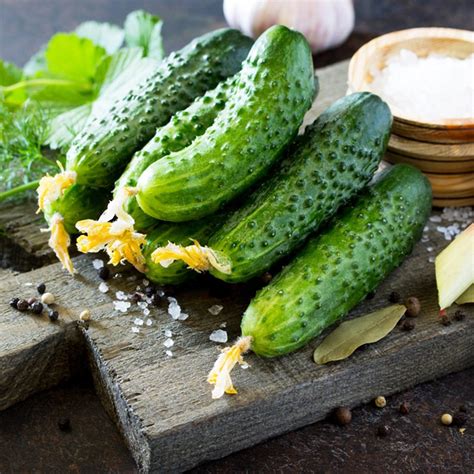 6 Popular Cucumber Varieties and How to Use Them