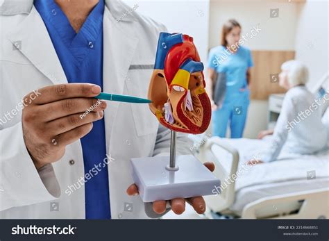 Elderly Patient Cardiology Ward Hospital Doctors Stock Photo 2214668851 ...