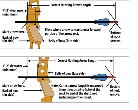 How To Determine Arrow Length For Bow : This will better equip you to ...