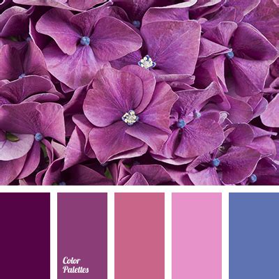 violet and dark blue | Color Palette Ideas