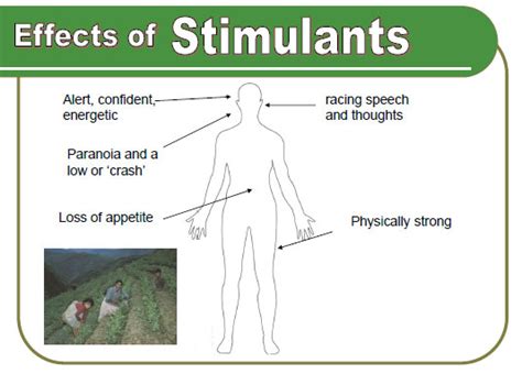 Stimulants | Northwest Regional Drug & Alcohol Task Force