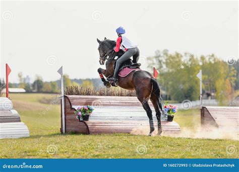 Portrait of Horse Jumping Eventing Competition Editorial Stock Photo ...