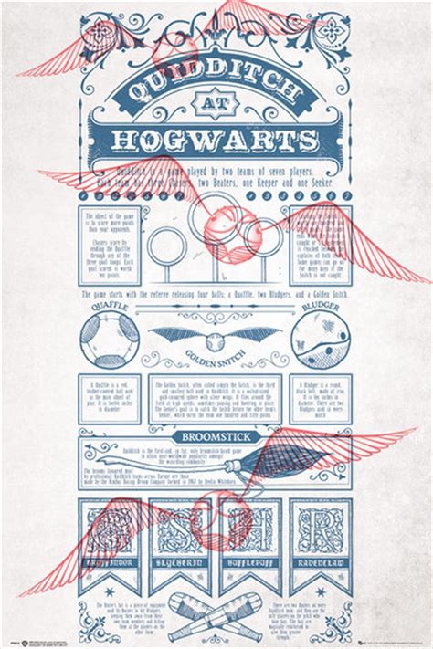 Buy Quidditch Rules Online | Sanity