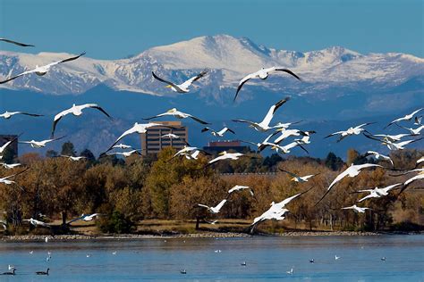 Cherry Creek Reservoir - WorldAtlas