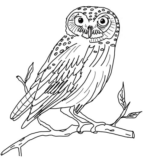 Snowy Owl coloring page - Animals Town - animals color sheet - Snowy ...