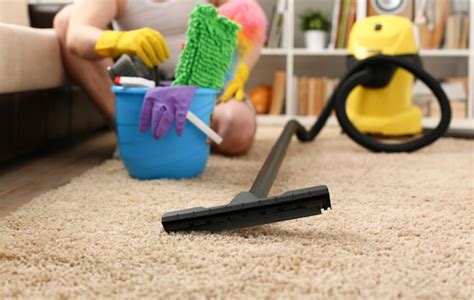 Premium Photo | Home care for carpet vacuum cleane