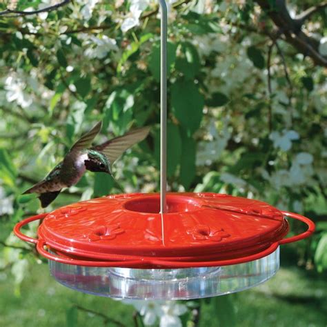 WoodLink Plastic Hummingbird Feeder at Lowes.com