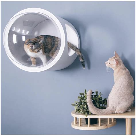 Spaceship Gamma Ultra Modern Cat Bed or Wall Mounted Bed - CatsPlay ...