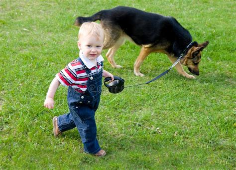 Child Walking Dog Stock Photography - Image: 7682152