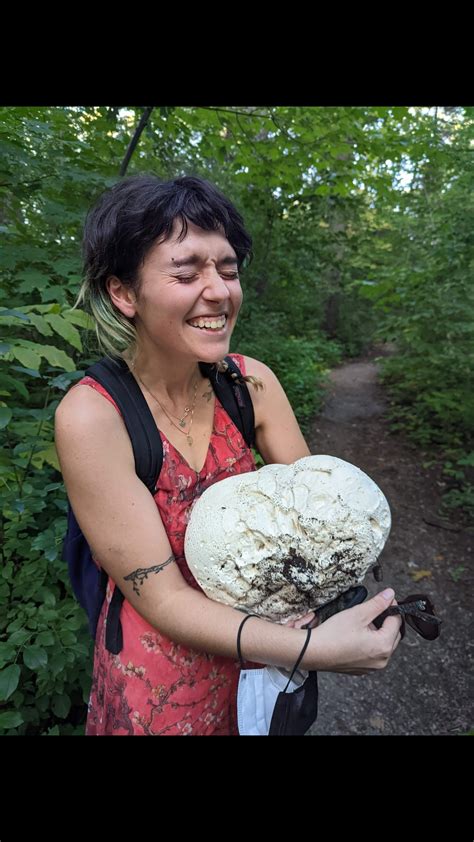 giant puffball?? edible??? : r/mycology