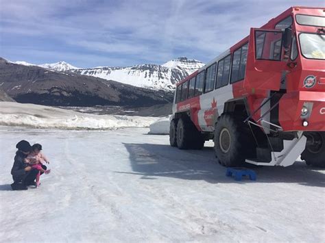 Columbia Icefield Glacier Adventure (Jasper National Park) - All You ...