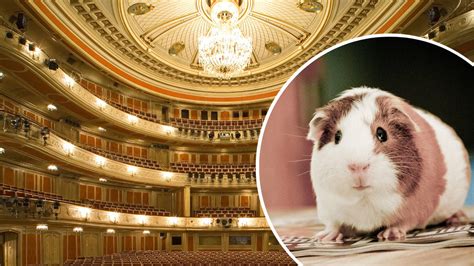 PETA cracks down on Berlin State Opera’s use of live animals in staging ...