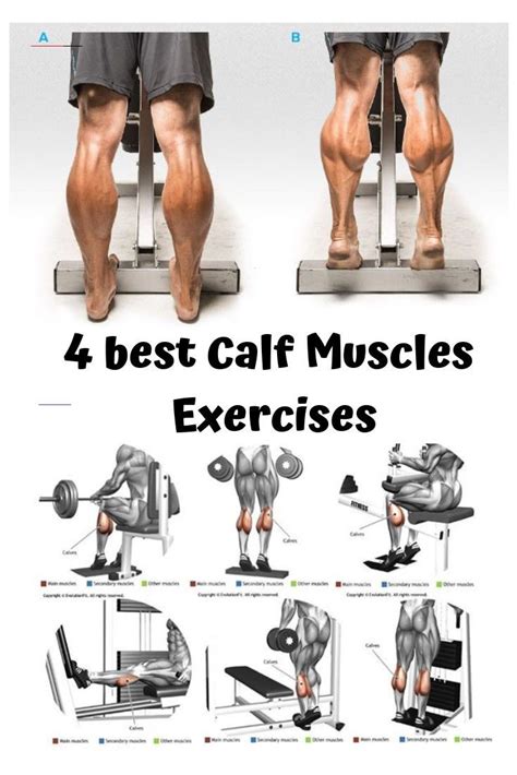 Best 4 key feature to development of your calf muscle exercise 🔥 BUILD ...