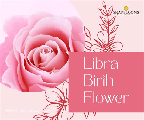 Libra Birth Flower: Birth Flowers for Libra - SnapBlooms Blogs