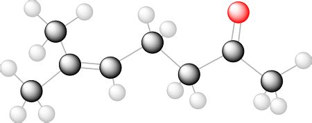 Show the steps in preparing the following substance using either a ...