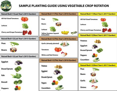 Vegetable families, soil depletion and crop rotation infographic