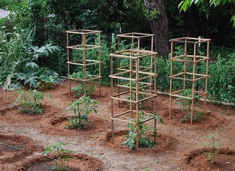 10 Cheap and Easy DIY Tomato Cages - Gardeners' Magazine | Tomato cages ...