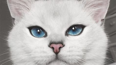 Majestic Cat Has the Most Blue-tiful Eyes You’ll Ever See - ABC News