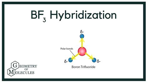 Exploring the Energy Level Diagram of Boron