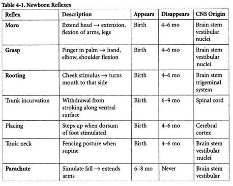 Infant Reflexes: A Comprehensive Guide