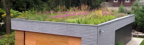 Green Roofs in Toronto | Living Walls | Rooftop Gardens