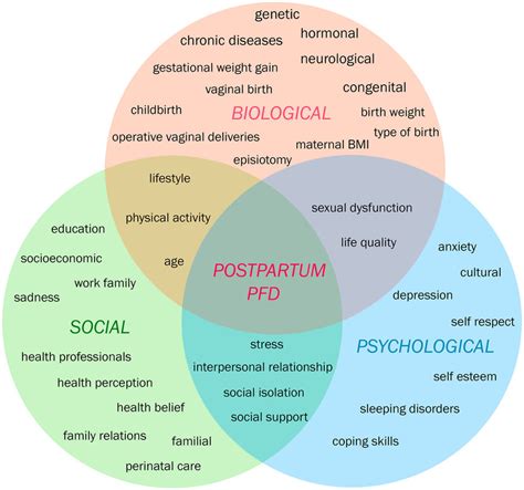 Biopsychosocial Model Of Pelvic Floor Dysfunction In Postpartum Women ...