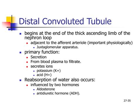 PPT - Human Anatomy, First Edition McKinley & O'Loughlin PowerPoint ...