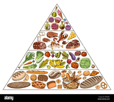 Healthy Food Pyramid Drawing Balanced Diet Chart Draw Vrogue Co ...