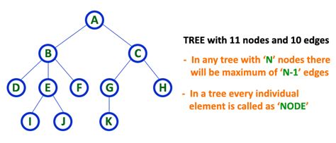 Data Structures Tutorials - Tree Representations | List | Left Child ...