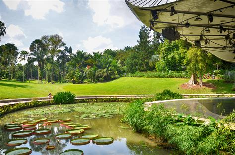 Fresh Air and Mighty Old Trees at Singapore’s Botanic Gardens ...