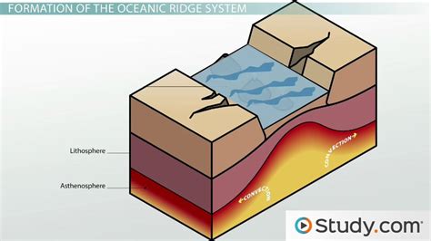 Oceanic Ridge System: Formation & Distribution - Video & Lesson ...