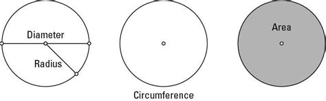 Radius And Diameter Of A Circle