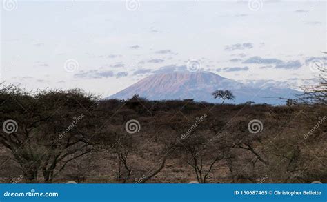 Mt Kilimanjaro at Sunrise from Amboseli, Kenya Stock Image - Image of ...