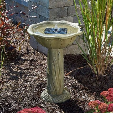 7 Top Rated Solar Powered Bird Bath Fountain in 2023! - Architectures Ideas