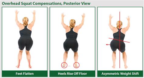 Open-Kinetic Chain vs Closed-Kinetic Chain Exercise for Bodybuilding