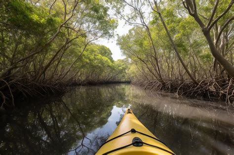 Premium Photo | Kayaking through the mangroves of the mangroves rivers