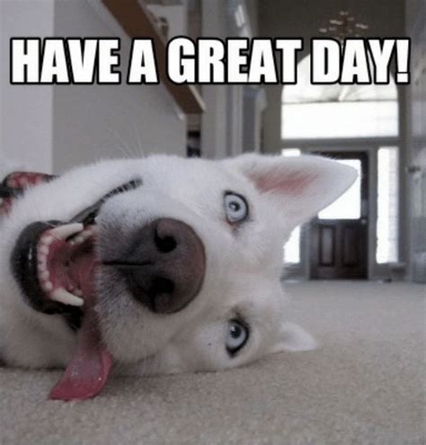 101 "Have a Great Day" Memes To Wish Someone Special a Good Day | Bébés ...