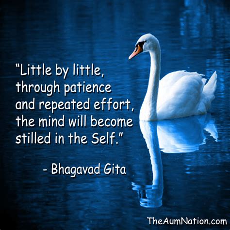 "LIttle by little through patience and repeated effort; the mind will ...