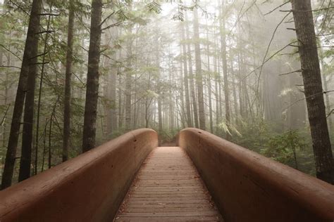 16 Best Hikes in Redwood National Park — The Discoveries Of