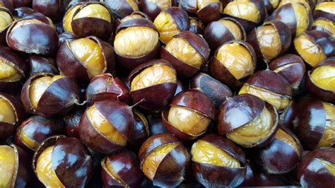 Roasted Chestnuts - A Fall Treat - Bonnie McDaniel Good Living